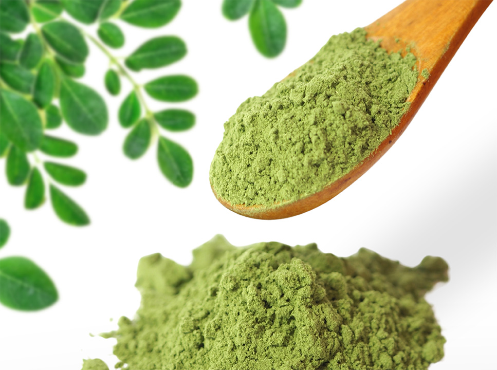 モリンガについて